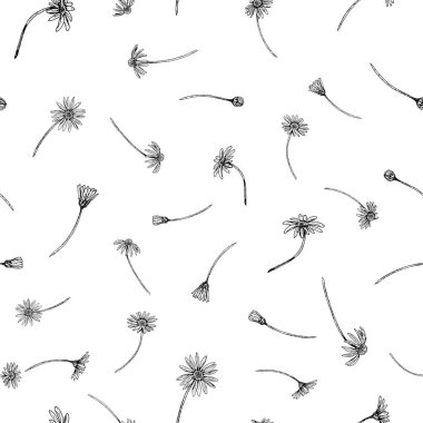 Dağılmış kır çiçekleri ve tomurcukları olan kusursuz botanik deseni. Papatya, ekinezya, Calendula ve Rudbeckia 'yı içeriyor. Siyah beyaz eskiz sarma, kırtasiye veya kumaş için mükemmel..