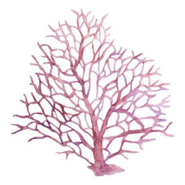 Su altı ağacı gibi narin dallanan pembe bir deniz mercanının suluboya çizimi. Tropikal resiflerden ve okyanus yaşamından esinlenen bu el yapımı sanat eseri, deniz ekosistemlerinin kırılgan güzelliklerini yakalar. Deniz temalı tasarımlar için mükemmel.