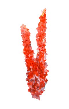 Suluboya ile boyanmış kırmızı mercan dalı. Okyanus temalı projeler, tropikal resif tasarımları, akvaryum görselleri, biyoloji materyalleri, tüplü dalış ve seyahat çizimleri için mükemmel desenli deniz elementleri.