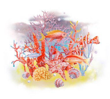 Renkli yıldızlarla, denizyıldızlarıyla, mercanlarıyla, deniz kabuklarıyla ve baloncuklarıyla sualtı mercan resifleri sahnesi. Okyanus temalı tasarımlar, deniz eğitimi, seyahat ve dalış görselleri için suluboya çizimi mükemmel