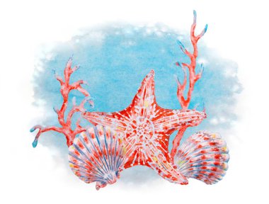 Mavi desenli arka planda deniz kabukları ve mercan dalları olan kırmızı bir deniz yıldızının suluboya çizimi, yaz kartpostalları, deniz temalı tasarımlar ve okyanusla ilgili projeler için idealdir.