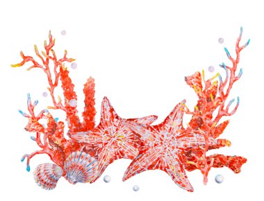 İki kırmızı deniz yıldızı, deniz kabuğu ve canlı mercan dallarıyla suluboya kompozisyonu, deniz temalı tasarımlar, yaz davetiyeleri, sualtı süslemeleri ve okyanusla ilgili görseller için idealdir.