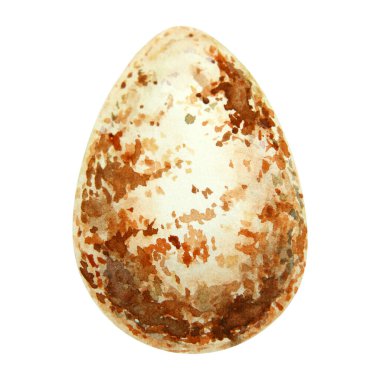 Doğal toprak tonlarında kahverengi benekli bir kuş yumurtasının suluboya çizimi. İlkbahar, Paskalya, vahşi yaşam ve köy temalı tasarımlar için mükemmel. Organik dokularla elle boyanmış.