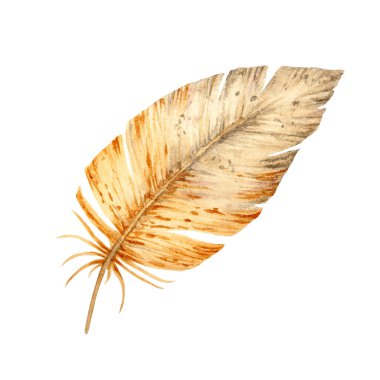 Yumuşak dokusu ve ince detayları olan tek bir kahverengi tüyün suluboya çizimi. Bahar tasarımları, vahşi yaşam temaları ve çevre dostu yaratıcı projeler için doğal ve sanatsal unsur