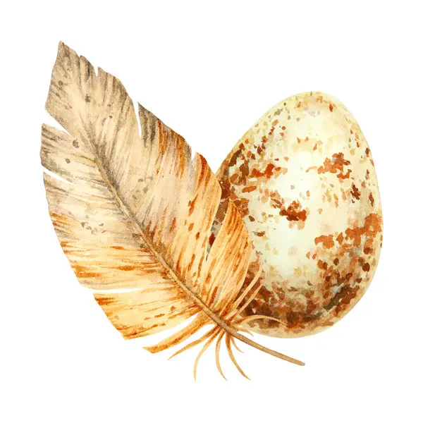 Kahverengi tüy ve benekli yumurtanın suluboya çizimi. Paskalya tasarımları, vahşi yaşam projeleri ve kırsal, ekolojik yaratıcı çalışmalar için mükemmel bir bahar temalı kompozisyon.