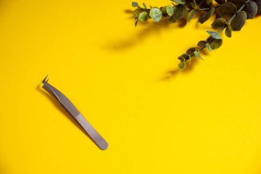 Kirpik uzatma ve bakım için aletler. Metal cımbız, kirpik tarama fırçaları, beyaz yamalar, mikro fırça, makro fırça ve kemik..