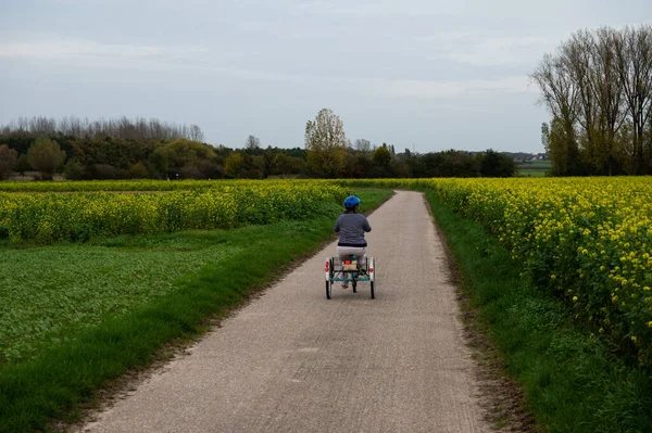 Mujer Activa Años Con Síndrome Conduciendo Triciclo Por Los Campos —  Fotos de Stock