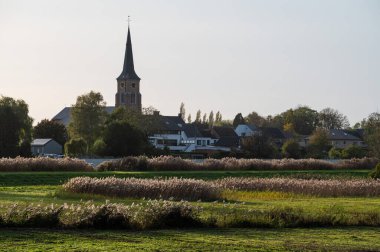 Scheldt Nehri, bitki örtüsü ve arka plandaki köy, Berlare, Flanders, Belçika