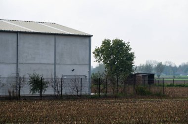 Belçika, Berlare civarındaki Flaman kırsalında gri ahır ve kahverengi toprak.