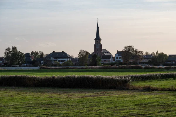 ベルラーレ 東フランダース地方 ベルギー 2022 日没時に緑の牧草地や村を背景に表示 — ストック写真