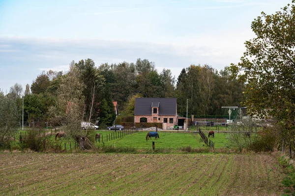 Wetteren Východní Vlámský Kraj Belgie 2022 Pohled Zemědělskou Půdu Domy — Stock fotografie