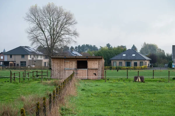 Migroveld Dendermonde Bélgica 2022 Galpão Campos Agrícolas Quinta Zona Rural — Fotografia de Stock
