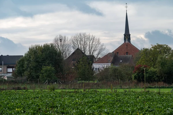 Ternat Flemish Brabant Region Belgium 2022 Вид Зелене Середовище Села — стокове фото