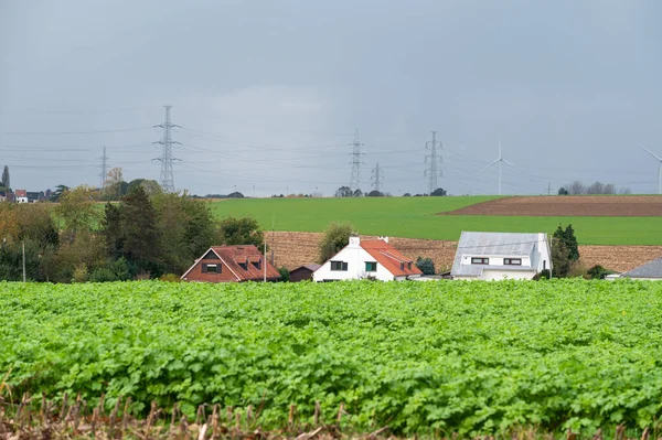 stock image Zellik, Flemish Brabant Region, Belgium, 10 20 2022 - Green agriculture fields and residential rooftops at the Flemish countryside