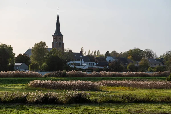 Uitzicht Schelde Vegetatie Het Dorp Achtergrond Berlare Vlaanderen België — Stockfoto