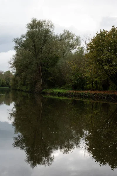Árboles Reflejados Agua Del Río Dender Erembodegem Flandes Bélgica —  Fotos de Stock