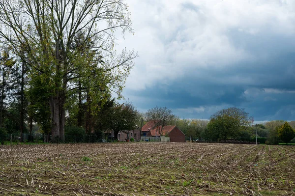 Ernteerde Von Landwirtschaftlichen Feldern Mit Dunklen Regenwolken Hintergrund Zellik Flandern — Stockfoto