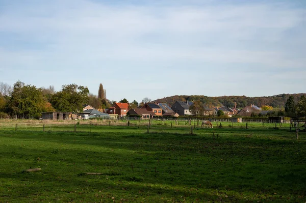 ベルギー フランダース ブラバント州ロータセラー 2022 緑のフィールド 牧草地 いくつかの村の家を背景に表示 — ストック写真