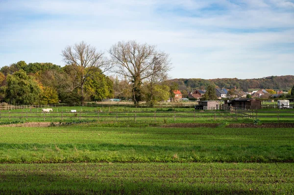 Rotselaar Flämisch Brabant Belgien 2022 Blick Über Die Grünen Felder — Stockfoto