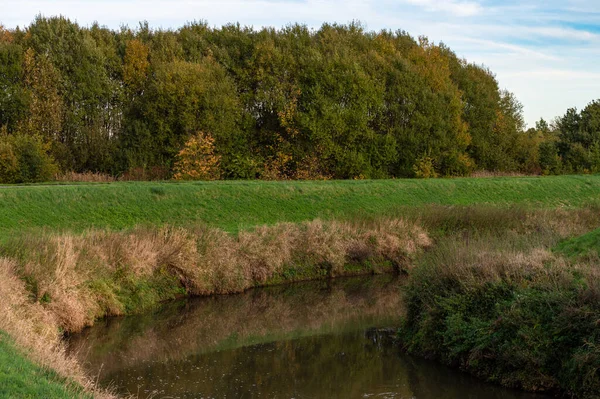 水の中に反映自然環境とデマー川の蛇行 フランダース オーシャンショット ベルギー — ストック写真