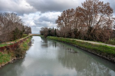 Baux vadisi kanalı Beauchamp bataklığının doğal parkında, Arles, Provence, Fransa