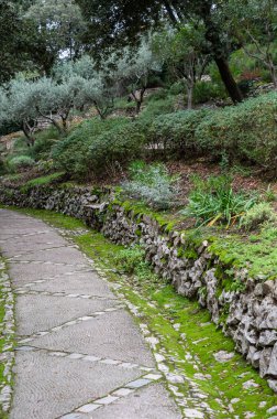 Empty path and green vegetation at a city park, Nimes, Occitanie, France