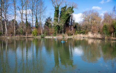 Wtae rpond ve ağaçlar Rowan Park, Merchtem, Flaman Brabant Bölgesi, Belçika