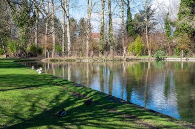 Wtae rpond and trees at the Rowan Park, Merchtem, Flemish Brabant Region, Belgium