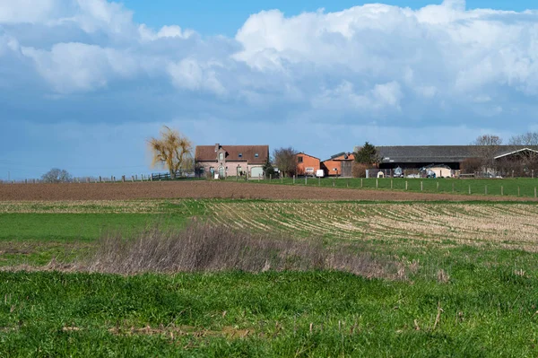 Old Farmhouses Wild Agriculture Fields Asse Flemish Brabant Region Belgium — стокове фото