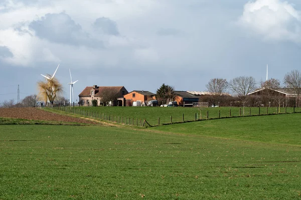 View Agriculture Fields Village Kobbegem Flemish Brabant Region Belgium — Stockfoto