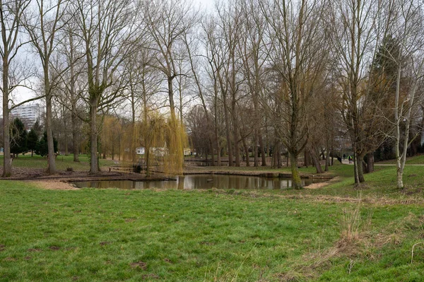 Forest Regione Bruxelles Capitale Belgio Marzo 2023 Zona Naturale Ricreativa — Foto Stock