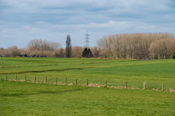 Grüne Wiesen Und Landwirtschaftliche Felder Der Flämischen Landschaft Dilbeek Flämisch — Stockfoto