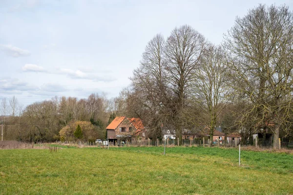 ベルギー フランダース ブラバント州テルナト周辺の春の間に背景に農家と緑の牧草地や農業分野 — ストック写真