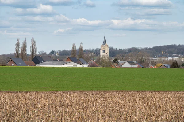 Grunty Uprawne Pól Kukurydzy Wioska Ternat Brabancja Flamandzka Belgia — Zdjęcie stockowe