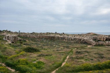 Kings 'in tarihi yeri Paphos, Kıbrıs Rum Kesimi' nin yeşil tepelerini ve kalıntılarını görmek