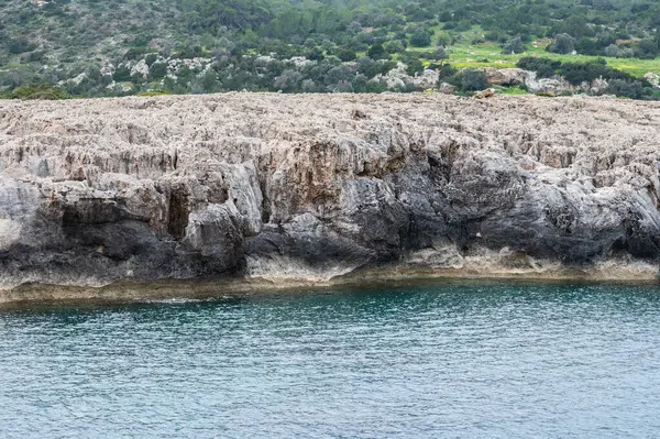 Скалы Шипы Береговой Линии Залива Chrysochou Около Neo Chorio Cyprus — стоковое фото