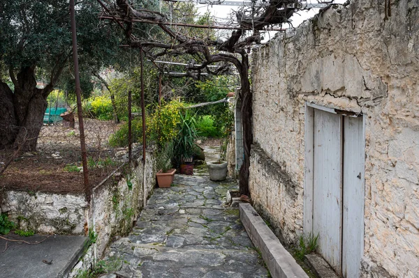 Lofou Limasol Bölgesi Kıbrıs Mart 2023 Köyün Geleneksel Dar Sokağı — Stok fotoğraf
