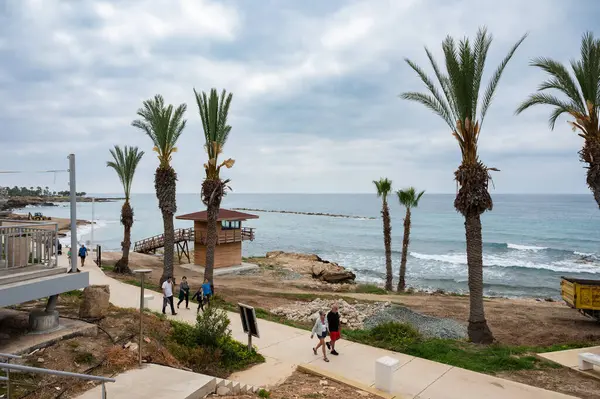 Paphos Cyprus Maart 2023 Hoog Uitzicht Strandboulevard Met Rotsen Palmbomen — Stockfoto