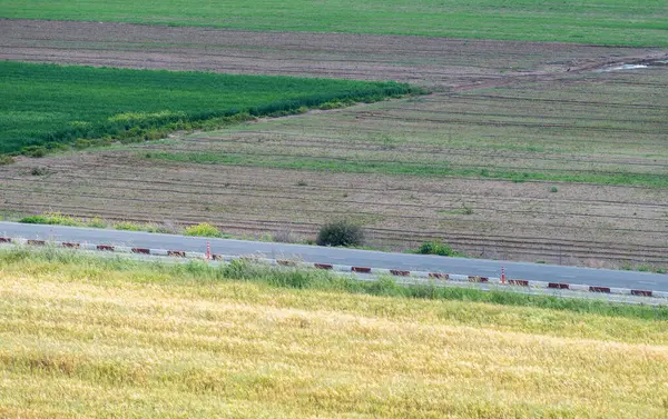 Groen Landschap Uitzicht Een Rechte Weg Door Groene Landbouw — Stockfoto