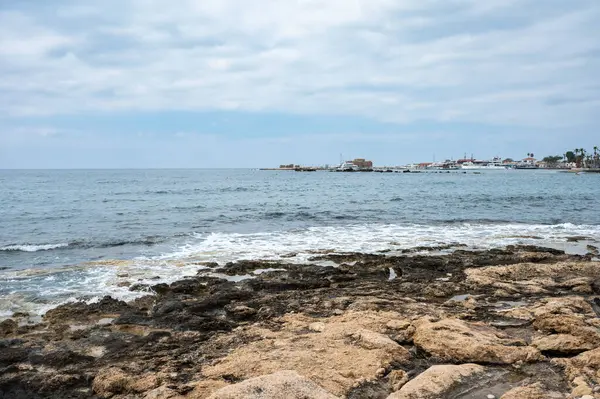 Жорсткий Камінь Морі Пафосу Кіпр — стокове фото