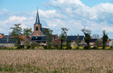 Geetbets, Flaman Brabant, Belçika - 21 Nisan 2023 - Köylü sarı mısır tarlaları ve arka planda chruch kulesi