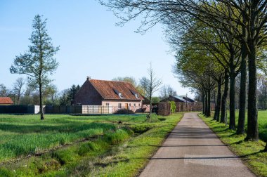 Meerhout, Antwerp Eyaleti, Belçika - 22 Nisan 2023 Flaman kırsal kesimindeki tarlaların ve ormanların ortasından geçen manzara