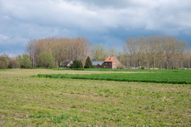 Zoutleeuw, Flaman Brabant, Belçika çevresindeki çiftlik evi ve tarım arazisi