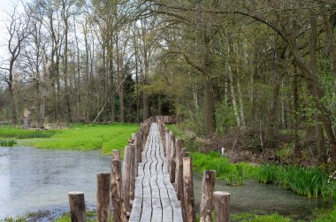 Varendonk, Laakdal, Belçika çevresindeki Wetland Doğa Koruma Alanı 'nda tahta yürüyüş yolu.
