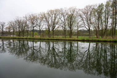 Geel, Flanders, Belçika 'daki kanalda ağaç yansımaları var.