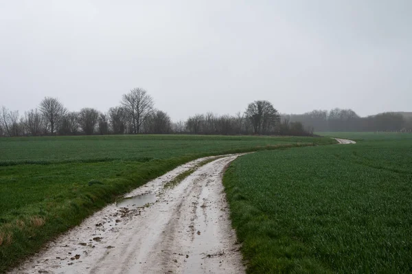 Tarımsal tarlalardan geçen yol, Herent, Flaman Brabant Bölgesi, Belçika