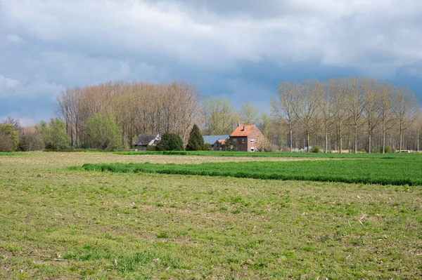 Bauernhof Und Landwirtschaftliches Feld Zoutleeuw Flämisch Brabant Belgien — Stockfoto