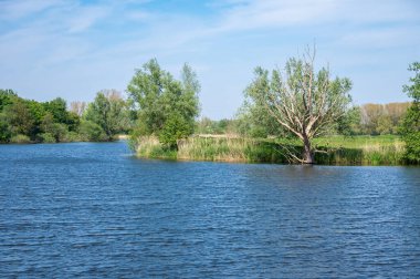 Eski Durme nehri ve Flaman kırsalındaki yeşil bankalar Hamme, Flanders, Belçika