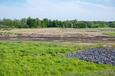 Çimenlerin manzarası, doğal seller ve Scheldt Nehri, Tielrode, Flanders, Belçika yakınlarındaki kayalar.