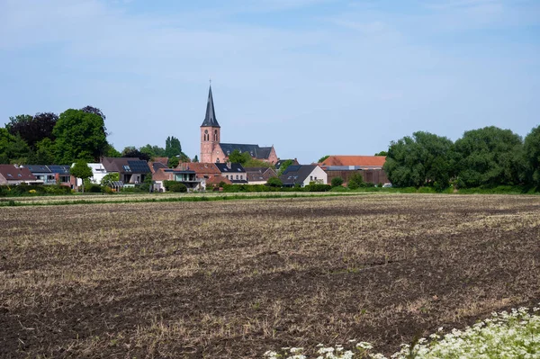 Tielrode Region Flamandzki Wschodni Belgia Maja 2023 Świeża Zaorana Gleba — Zdjęcie stockowe